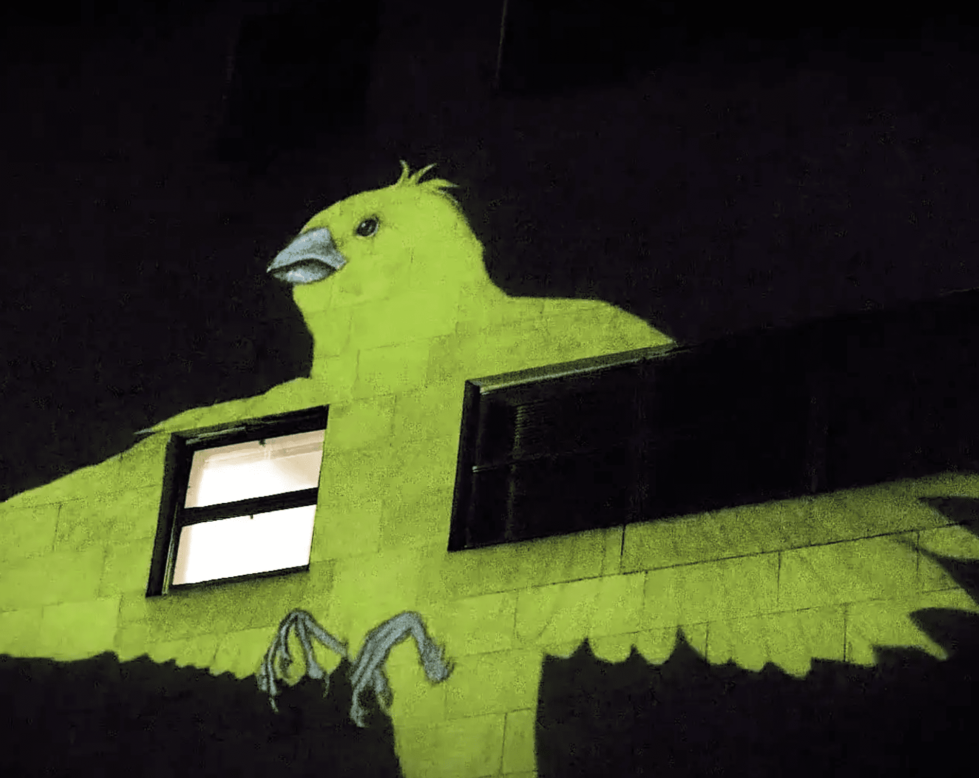 Projection Mapping Street Art New Year Canaries the Causey